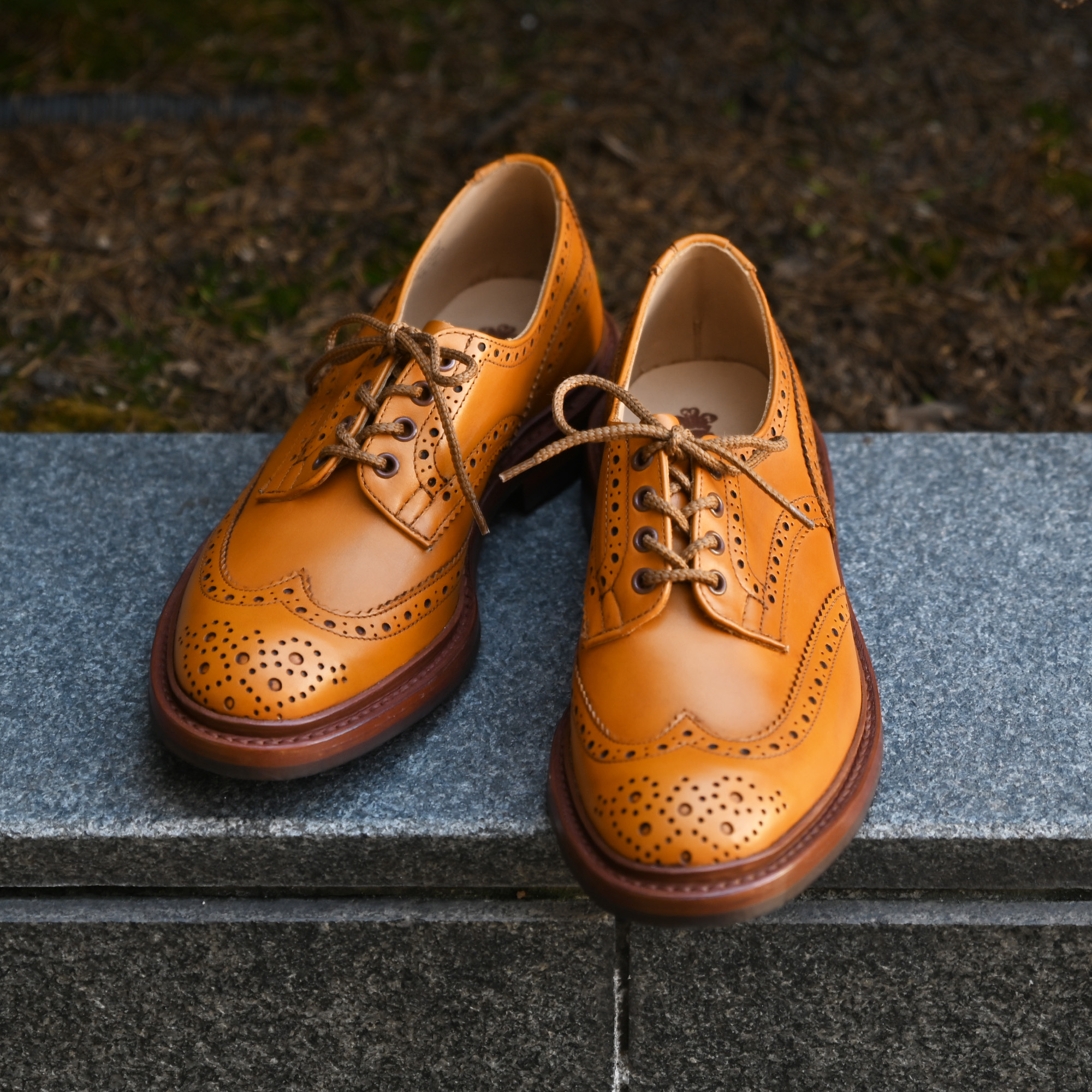 trickers トリッカーズBOURTON M5633 MARRON-