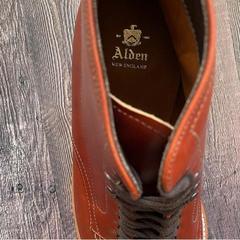 Alden(ｵｰﾙﾃﾞﾝ) |大きいサイズ Alden（オールデン） 405 Brown ブラウン