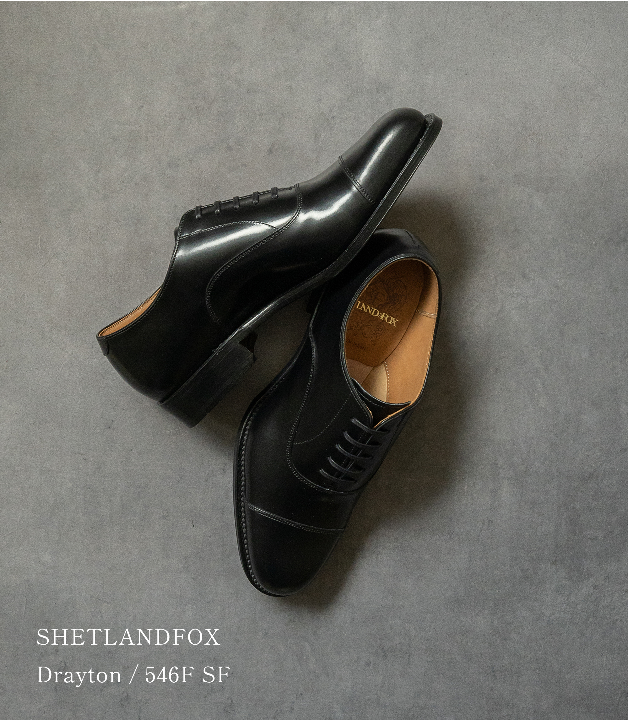 国内正規品】SHETLANDFOX シェットランドフォックス ドレイトン ストレートチップ 546F SF ブラック / SHETLANDFOX（ ｼｪｯﾄﾗﾝﾄﾞﾌｫｯｸｽ） | NEXT FOCUS ONLINE STORE