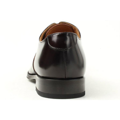 REGAL(ﾘｰｶﾞﾙ) |【国内正規品】 REGAL(リーガル) メンズ ビジネスシューズ ストレートチップ 811R AL ダークブラウン