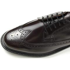 REGAL(ﾘｰｶﾞﾙ) |【国内正規品】 REGAL(リーガル) メンズ ビジネスシューズ ウィングチップ 2589 N ブラウン