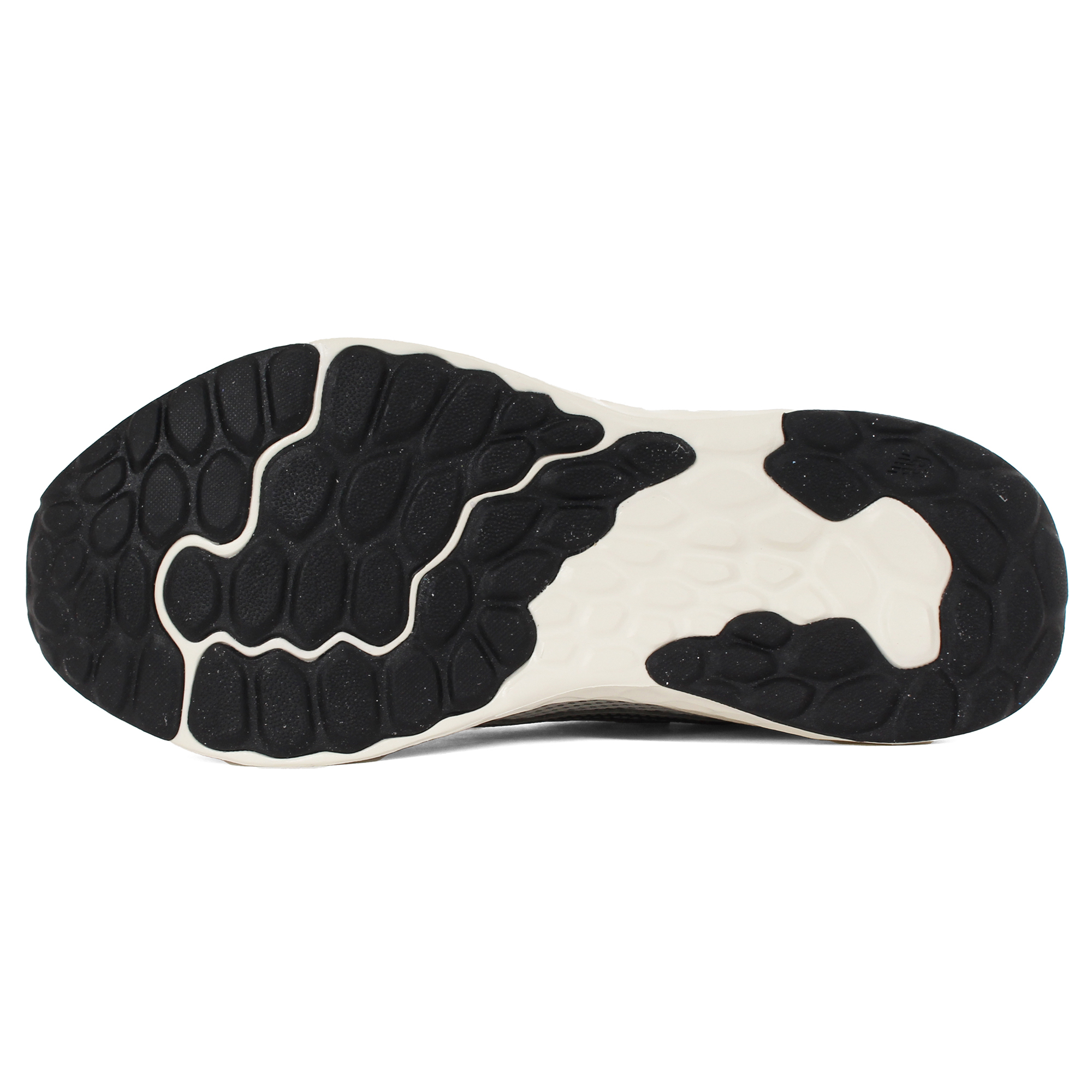 Newbalance ニューバランス FRESH FOAM ARISHI V4 TIRALUX MARISTG4