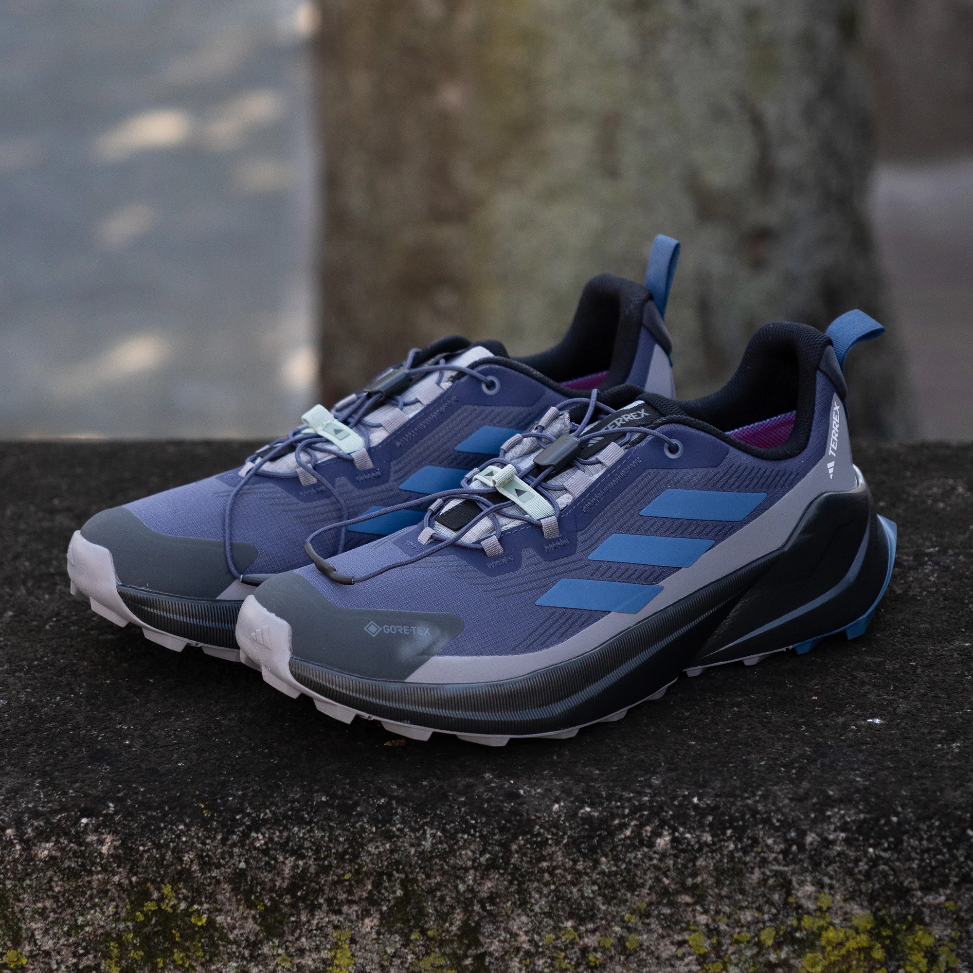 ディアゴスティーニ Amazon.com: DS18 ZXI-654 6.5