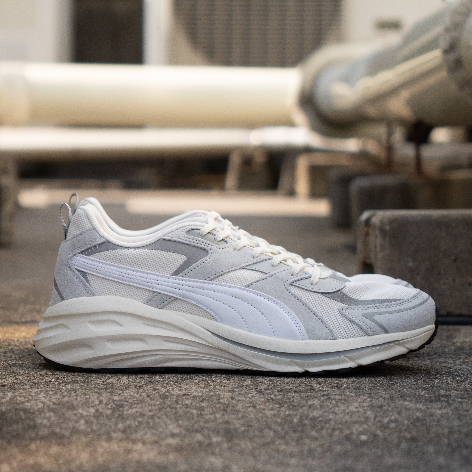 PUMA プーマ ヒプノティック LS 395295-02 395295-03 / PUMA（ﾌﾟｰﾏ
