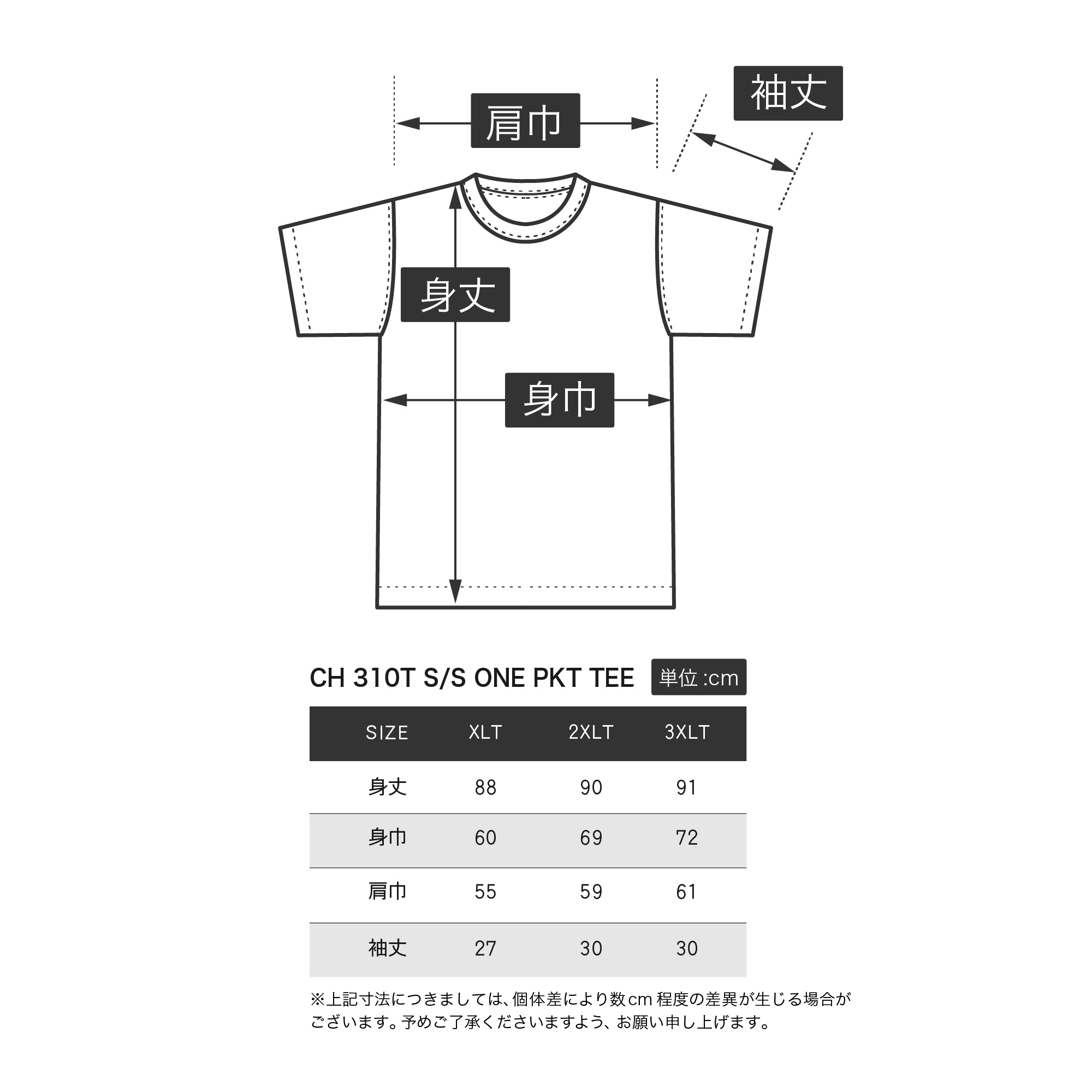 大きいサイズ【XL～3XL】Champion チャンピオン メンズ Tシャツ