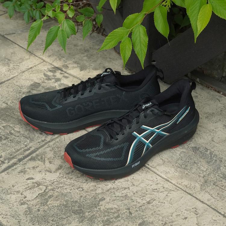 ASICS (Sport )(ｱｼｯｸｽ ｽﾎﾟｰﾂ) |大きいサイズ【29cm 30cm 31cm 32cm】ASICS アシックス GT-1000 14 GTX 1011C078-003 ブラック/アプリコットクラッシュ