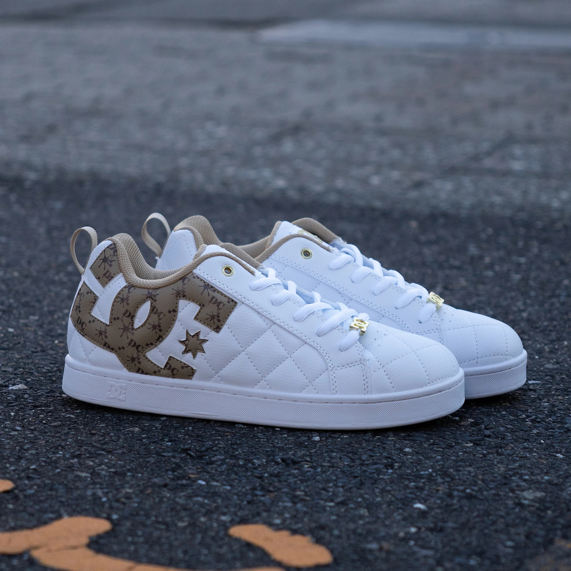 大きいサイズ【29cm 30cm】DC Shoes ディーシーシューズ ALLIANCE SE