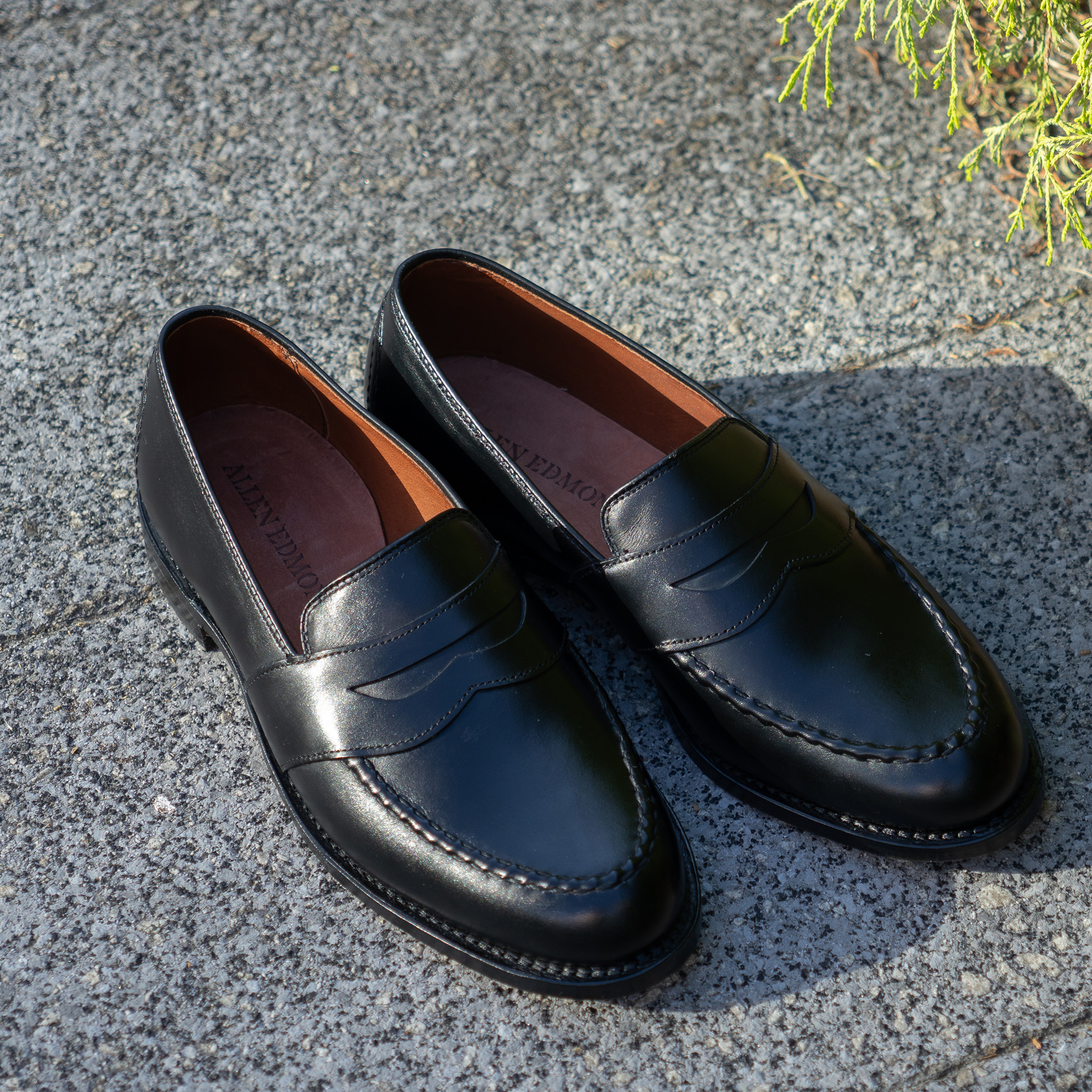 ALLEN EDMONDS RANDOLPH ランドルフ 4809 E ブラック / ALLEN EDMONDS
